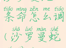 沙罗曼蛇30条命怎么调(沙罗曼蛇无限命)