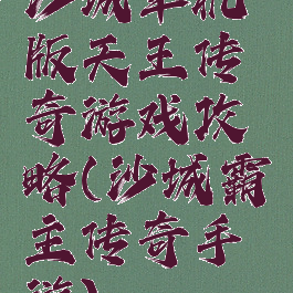 沙城单机版天王传奇游戏攻略(沙城霸主传奇手游)