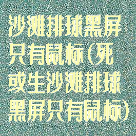 沙滩排球黑屏只有鼠标(死或生沙滩排球黑屏只有鼠标)