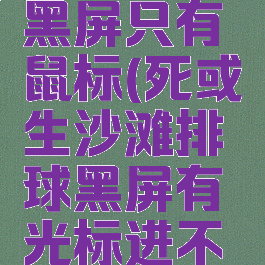 沙滩排球黑屏只有鼠标(死或生沙滩排球黑屏有光标进不去)