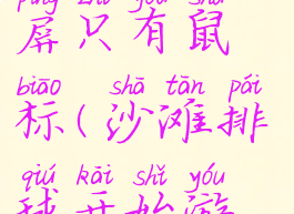 沙滩排球黑屏只有鼠标(沙滩排球开始游戏黑屏)