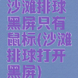 沙滩排球黑屏只有鼠标(沙滩排球打开黑屏)