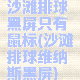 沙滩排球黑屏只有鼠标(沙滩排球维纳斯黑屏)