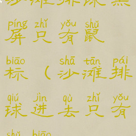 沙滩排球黑屏只有鼠标(沙滩排球进去只有鼠标)