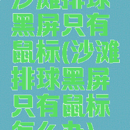 沙滩排球黑屏只有鼠标(沙滩排球黑屏只有鼠标怎么办)