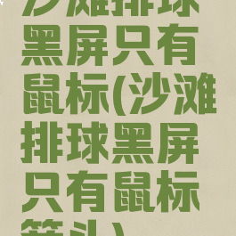 沙滩排球黑屏只有鼠标(沙滩排球黑屏只有鼠标箭头)