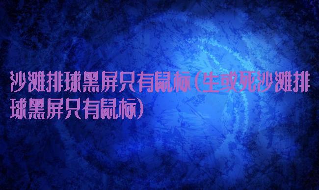 沙滩排球黑屏只有鼠标(生或死沙滩排球黑屏只有鼠标)