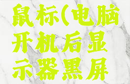 沙滩排球黑屏只有鼠标(电脑开机后显示器黑屏只有鼠标怎么办)
