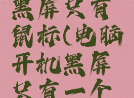 沙滩排球黑屏只有鼠标(电脑开机黑屏只有一个鼠标箭头)