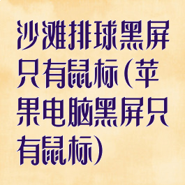 沙滩排球黑屏只有鼠标(苹果电脑黑屏只有鼠标)