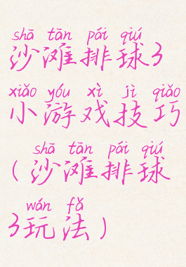 沙滩排球3小游戏技巧(沙滩排球3玩法)