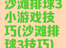 沙滩排球3小游戏技巧(沙滩排球3技巧)