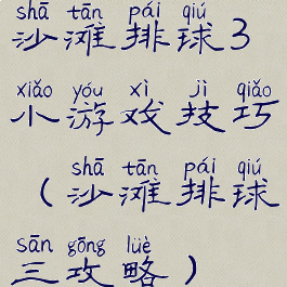 沙滩排球3小游戏技巧(沙滩排球三攻略)