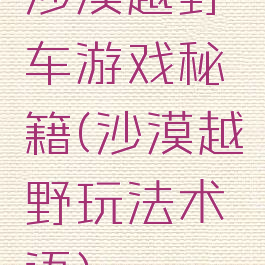 沙漠越野车游戏秘籍(沙漠越野玩法术语)