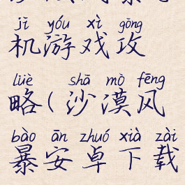 沙漠风暴手机游戏攻略(沙漠风暴安卓下载)