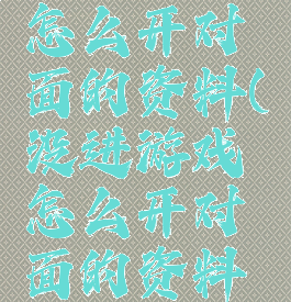 没进游戏怎么开对面的资料(没进游戏怎么开对面的资料栏)