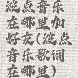 波点音乐在哪里加好友(波点音乐歌词在哪里)