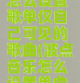 波点音乐怎么设置歌单仅自己可见的歌曲(波点音乐怎么设置单曲循环)