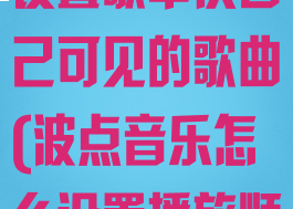 波点音乐怎么设置歌单仅自己可见的歌曲(波点音乐怎么设置播放顺序)