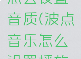 波点音乐怎么设置音质(波点音乐怎么设置播放顺序)