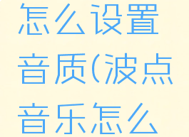 波点音乐怎么设置音质(波点音乐怎么调音质)