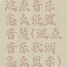 波点音乐怎么设置音质(波点音乐歌词怎么显示)