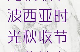 波西亚时光秋收节(波西亚时光秋收节集货处在哪)