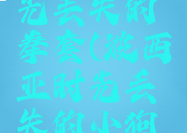 波西亚时光丢失的拳套(波西亚时光丢失的小狗在哪里)