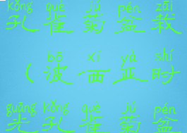 波西亚时光孔雀菊盆栽(波西亚时光孔雀菊盆栽怎么搞)