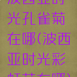 波西亚时光孔雀菊在哪(波西亚时光彩虹花在哪)