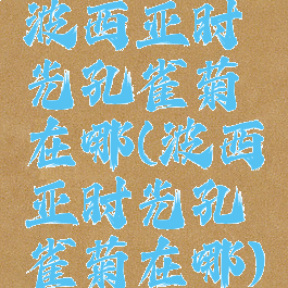 波西亚时光孔雀菊在哪(波西亚时光孔雀菊在哪)