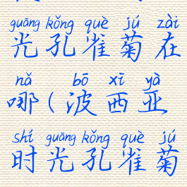 波西亚时光孔雀菊在哪(波西亚时光孔雀菊盆栽)