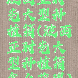 波西亚时光大型种植箱(波西亚时光大型种植箱怎么获得)