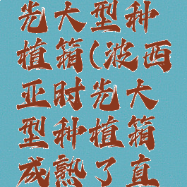 波西亚时光大型种植箱(波西亚时光大型种植箱成熟了直接收)