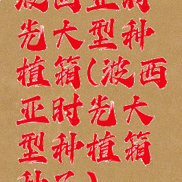 波西亚时光大型种植箱(波西亚时光大型种植箱种子)