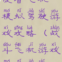 波音飞机模拟驾驶游戏攻略(战斗飞机游戏模拟驾驶)