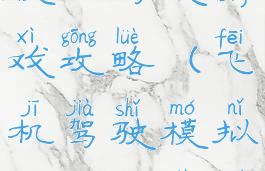 波音飞机模拟驾驶游戏攻略(飞机驾驶模拟器游戏大全)