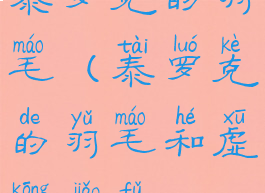 泰罗克的羽毛(泰罗克的羽毛和虚空角斧)