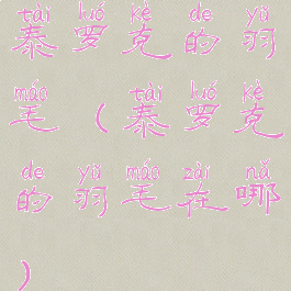 泰罗克的羽毛(泰罗克的羽毛在哪)