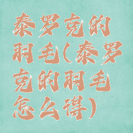 泰罗克的羽毛(泰罗克的羽毛怎么得)