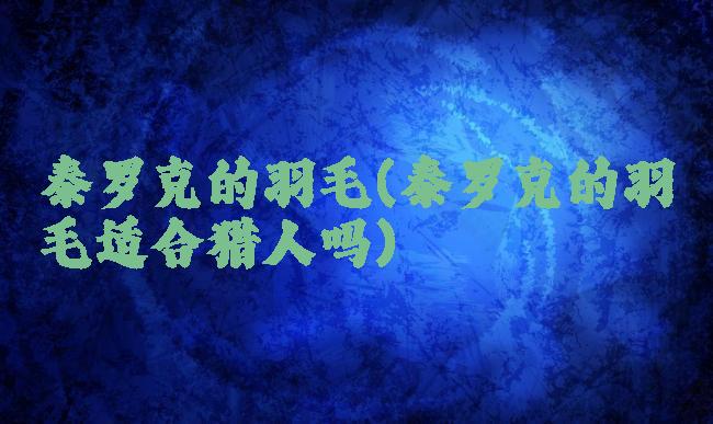 泰罗克的羽毛(泰罗克的羽毛适合猎人吗)