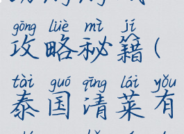 泰国清莱自助游游戏攻略秘籍(泰国清莱有什么好玩的地方)