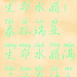 泰拉瑞亚生命水晶(泰拉瑞亚生命水晶满了还有什么用)