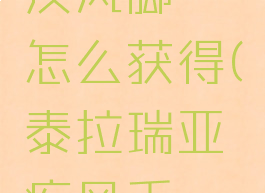 泰拉瑞亚疾风脚镯怎么获得(泰拉瑞亚疾风手镯怎么得)