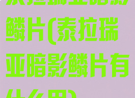 泰拉瑞亚暗影鳞片(泰拉瑞亚暗影鳞片有什么用)