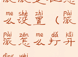 派派定位怎么设置(派派怎么打开定位)