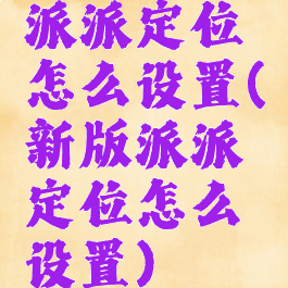 派派定位怎么设置(新版派派定位怎么设置)