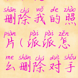 派派怎么删除我的照片(派派怎么删除对手)