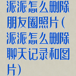 派派怎么删除朋友圈照片(派派怎么删除聊天记录和图片)