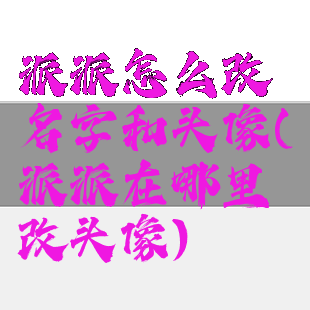 派派怎么改名字和头像(派派在哪里改头像)